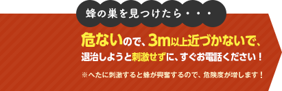 危ないので、3m以上近づかないで、退治しようと刺激せずに、すぐお電話ください