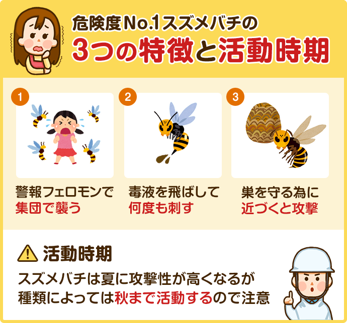 ハチの種類と特徴 見分け方と危険性を知る