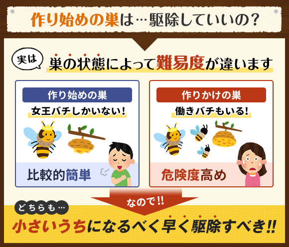 早めの対処が肝心 作り始めのハチの巣に対して取るべき行動とは