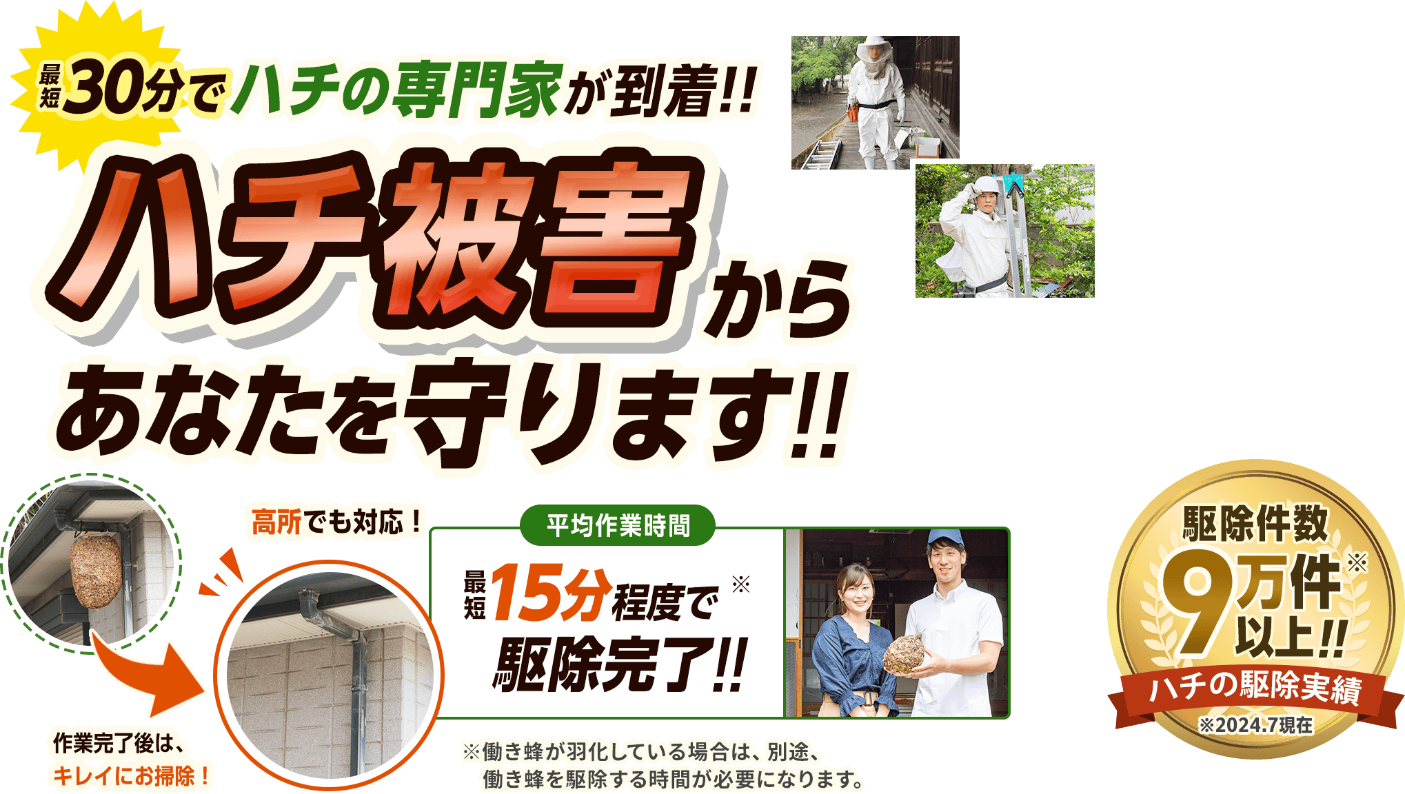 ハチの被害からあなたを守ります