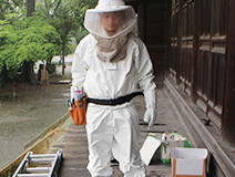 蜂駆除の防護服