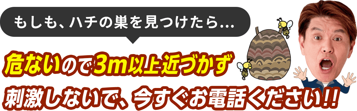 もしハチの巣を見つけたら、危ないので3m以上近づかず、刺激しないで今すぐお電話ください