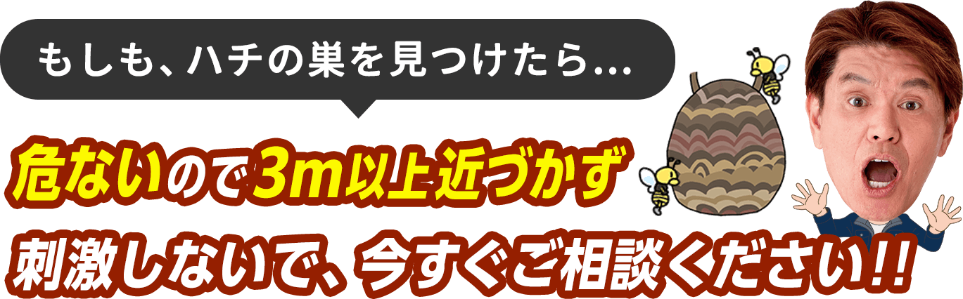 もしハチの巣を見つけたら、危ないので3m以上近づかず、刺激しないで今すぐご相談ください