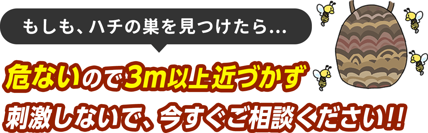 もしハチの巣を見つけたら、危ないので3m以上近づかず、刺激しないで今すぐご相談ください
