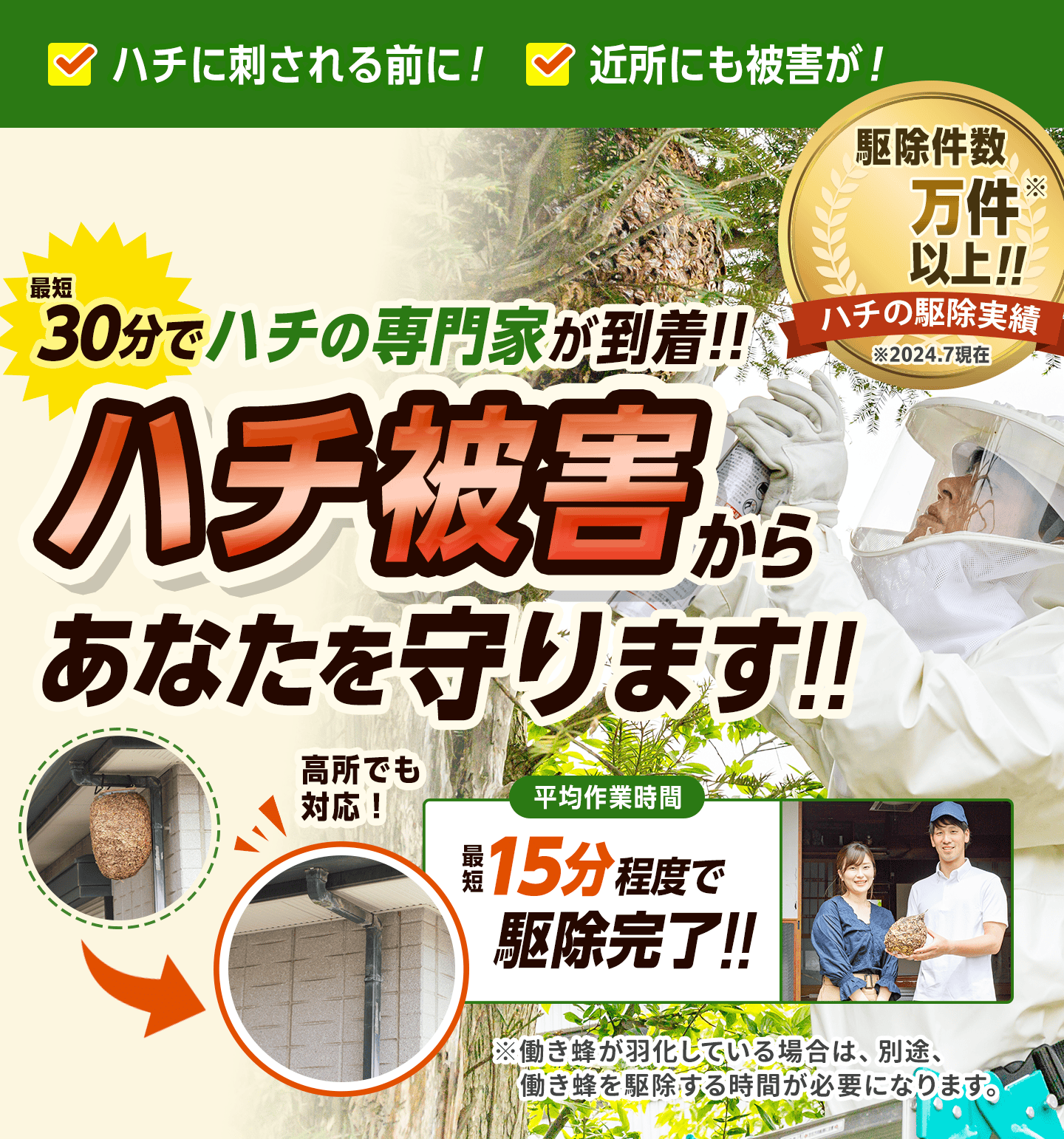 最短30分でハチの専門家が到着。ハチの被害からあなたを守ります。15分程度で駆除完了。