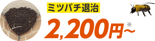 蜂の巣を駆除＆ハチを退治 2,200円〜 30分で到着｜みんなのハチ