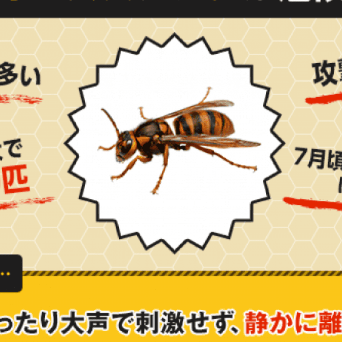 徹底対策 被害が多いキイロスズメバチ ケブカスズメバチ のすべて
