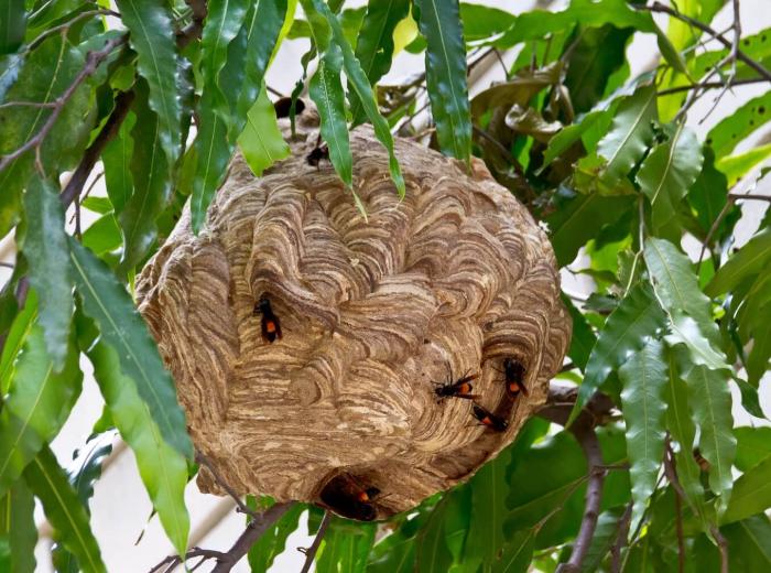 19__15384bd6719bb656581cddf924