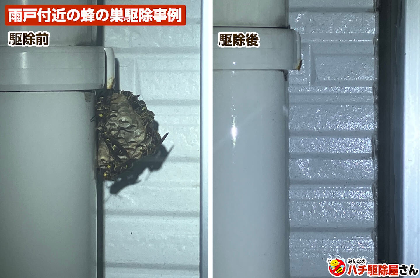 雨戸付近の蜂の巣駆除事例