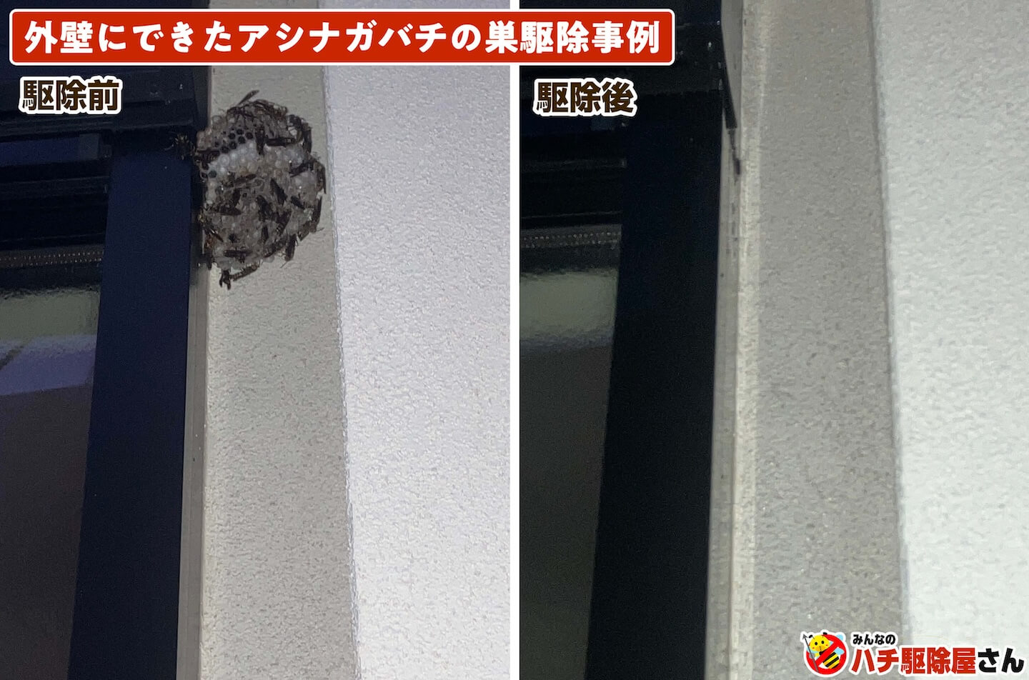 外壁にできたアシナガバチの駆除事例