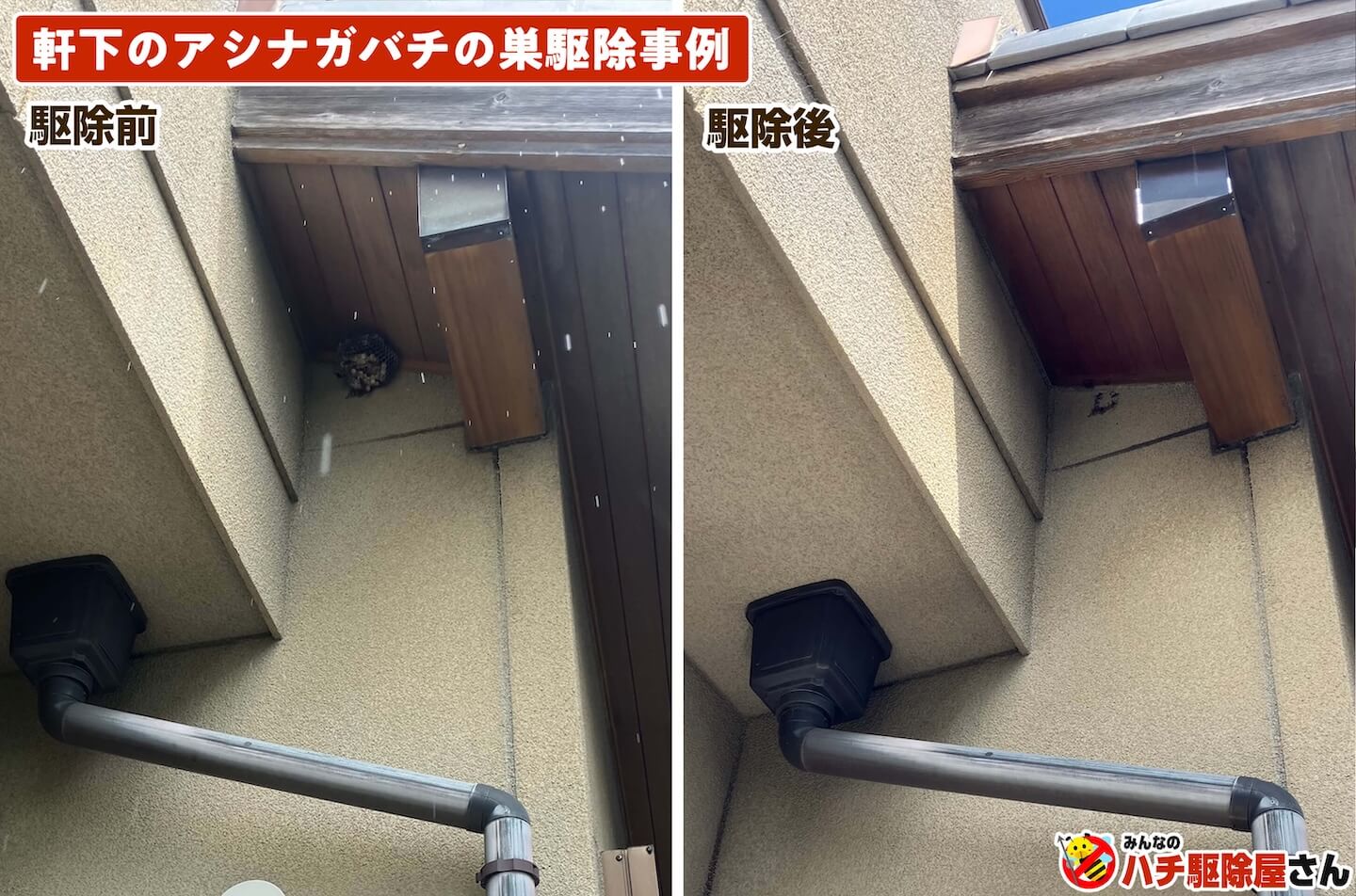 軒下のアシナガバチの巣駆除事例