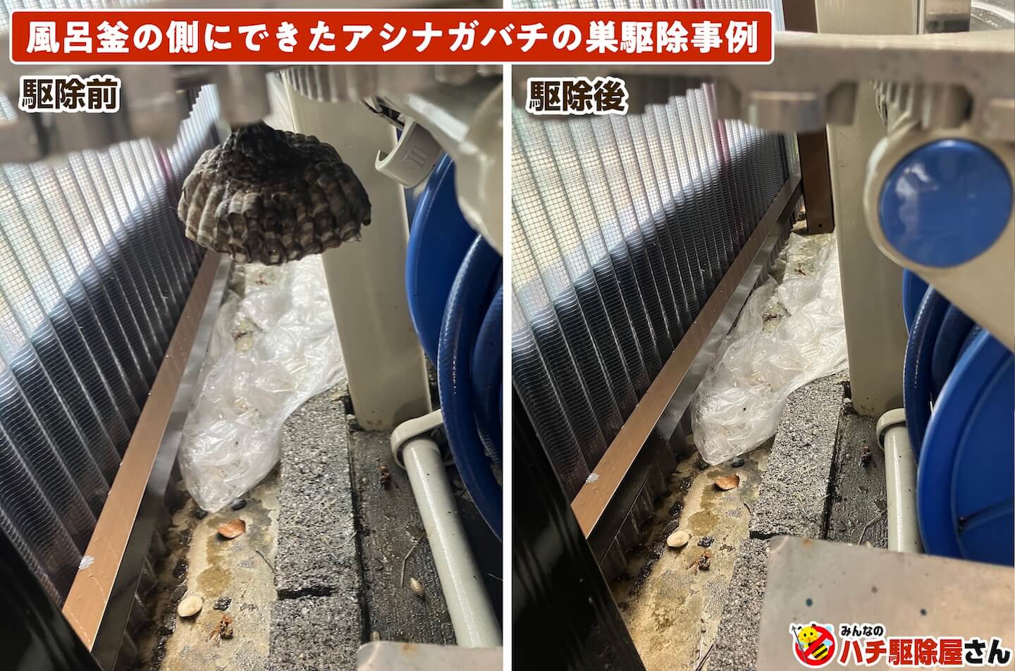 風呂釜の側につくられたアシナガバチの巣の駆除事例