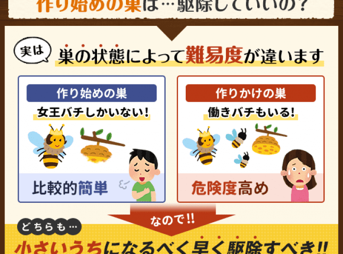 早めの対処が肝心 作り始めのハチの巣に対して取るべき行動とは