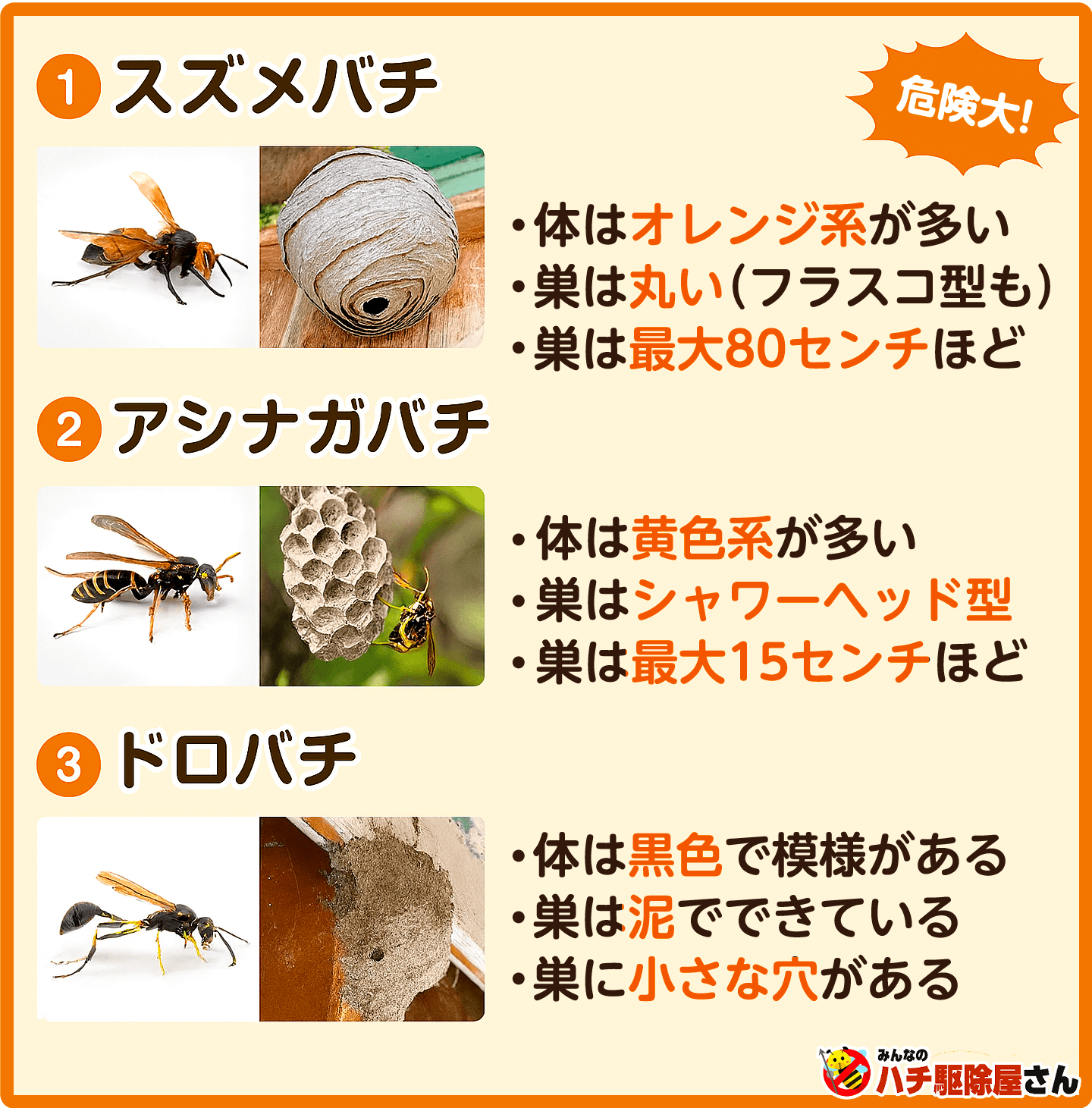 スズメバチ・アシナガバチ・ドロバチの見分け方