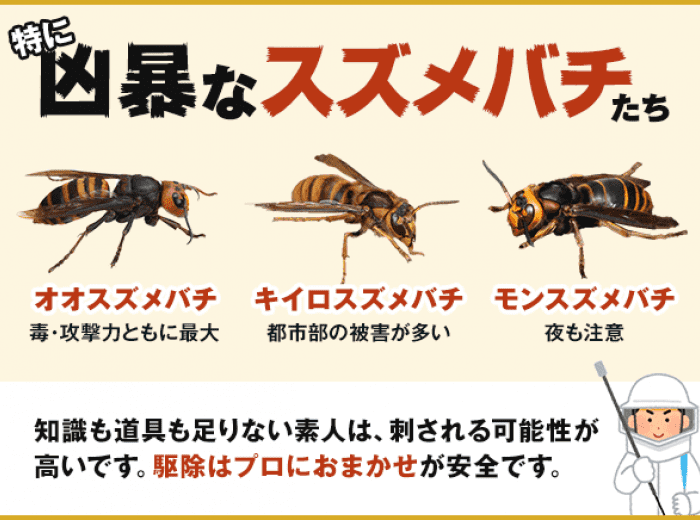 刺すスズメバチ９種類 危険なハチがわかる 見分け方と刺されない対策