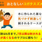 プロが教える：コガタスズメバチの巣と駆除、注意点