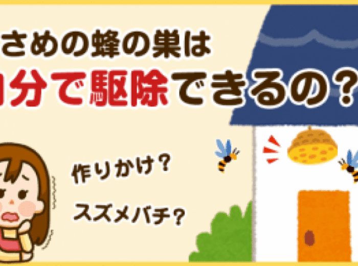 小さめの蜂の巣なら、自分で安全に駆除できるって本当？