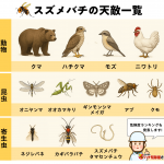 【スズメバチの天敵ランキング】1位は熊！でも、あなたの家の巣は駆除してくれない理由