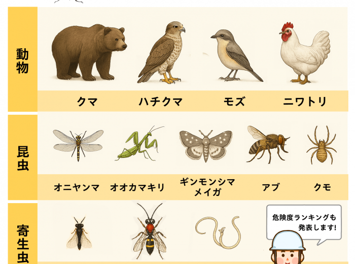 スズメバチの天敵ランキング】1位は熊！でも、あなたの家の巣は駆除し