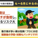 マーブル模様は本当にスズメバチの巣？巣の見分け方と対処法、予防方法を解説