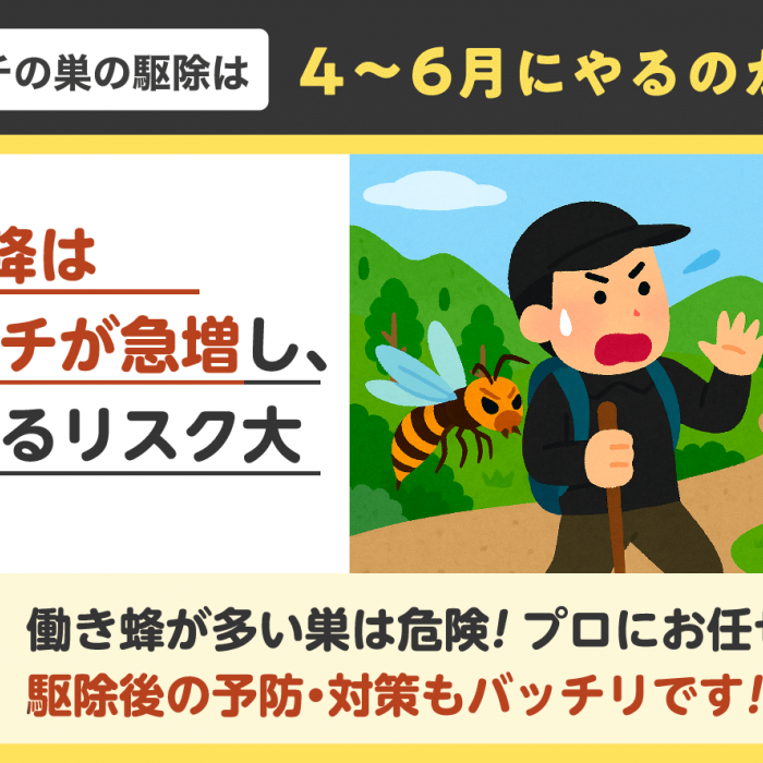 マーブル模様は本当にスズメバチの巣？巣の見分け方と対処法