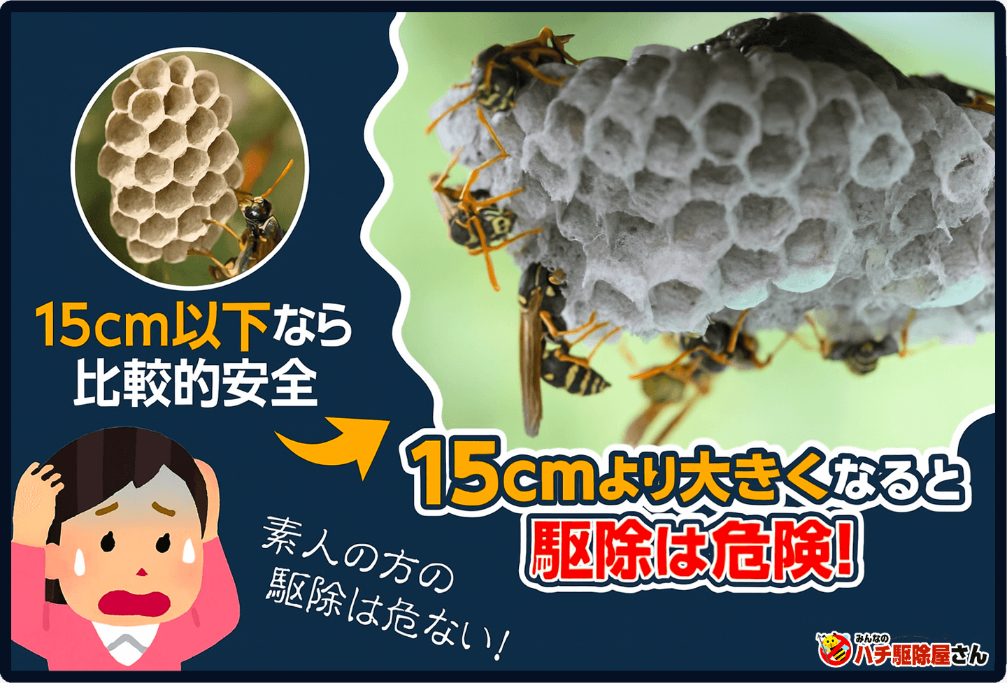 15cmより大きい巣の駆除は危険