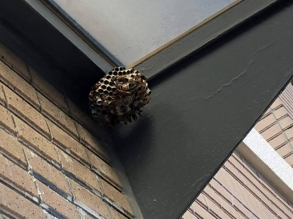 家の外壁の天井についた蜂の巣