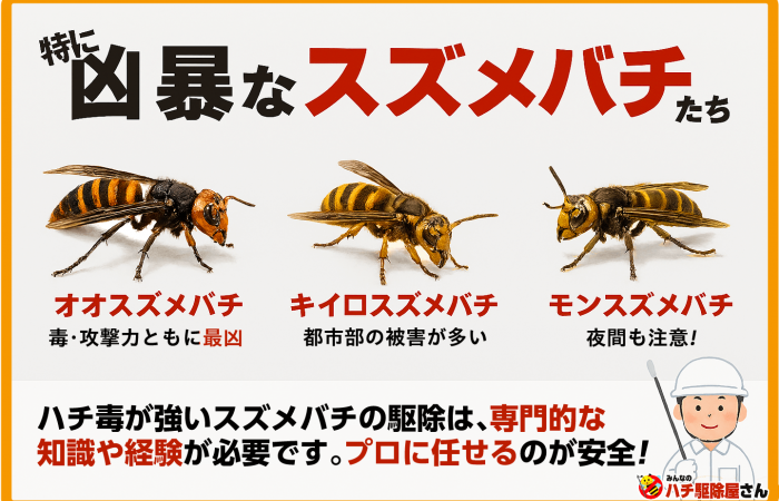 危険度順】スズメバチの種類を写真で特定！巣作り初期の駆除費用と安全