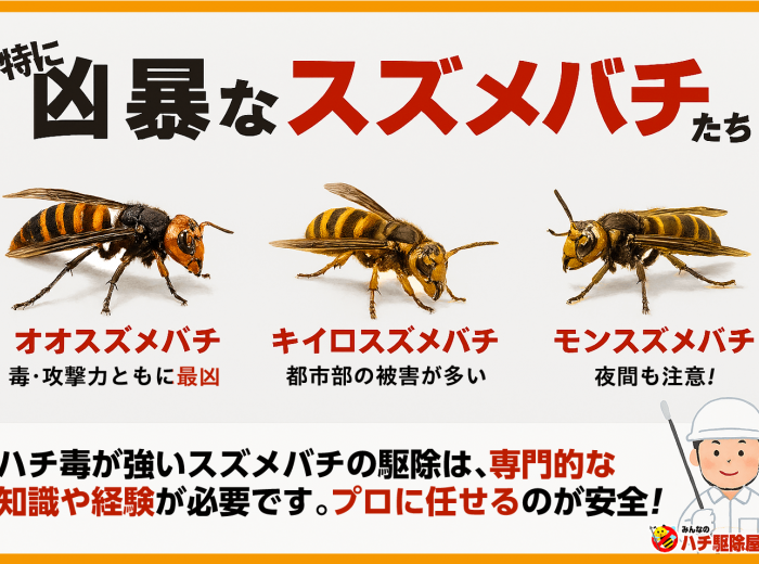 危険度順】スズメバチの種類を写真で特定！巣作り初期の駆除費用と安全
