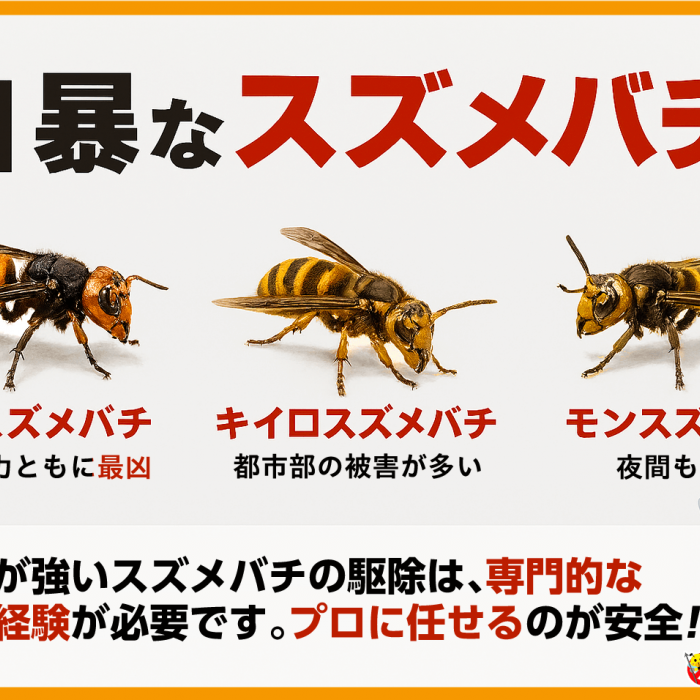 【エサ用】オオスズメバチ蜂の子 冷凍ハチの子 | サイバークリケット
