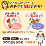【費用0円】自分で蜂の巣を駆除！プロが教える安全マニュアルと必須道具リスト