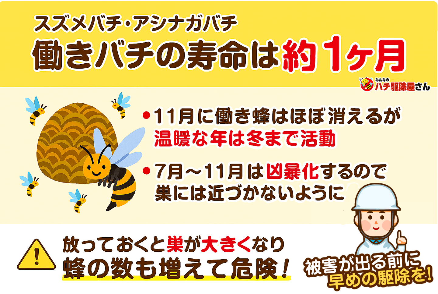 働き蜂の寿命は約1ヶ月。11月に働き蜂はほぼ消えるが、数が多いといなくならない。7月〜11月は凶暴化するので、巣には近づかないように。