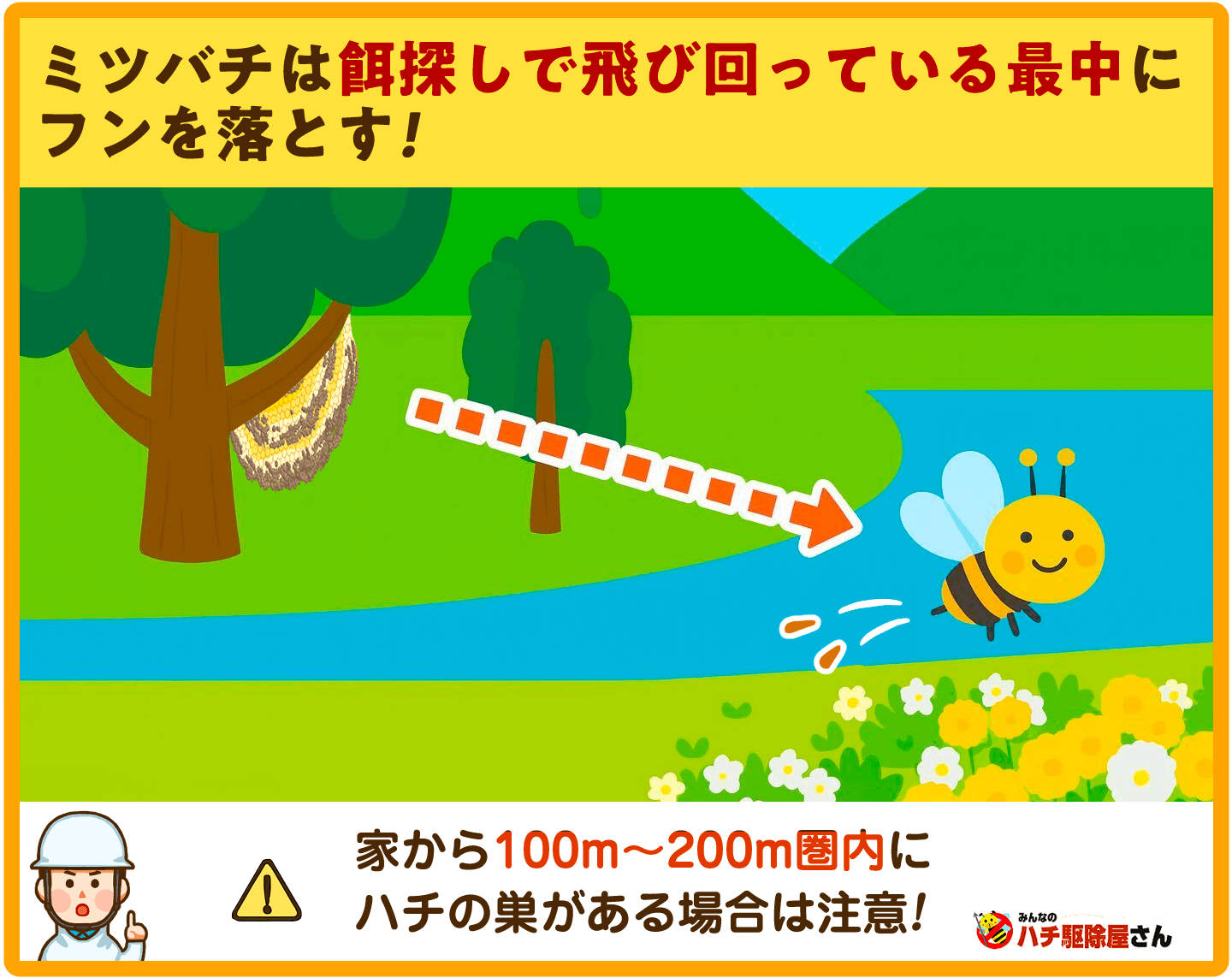ミツバチは餌探しで飛び回っている最中にフンを落とす！