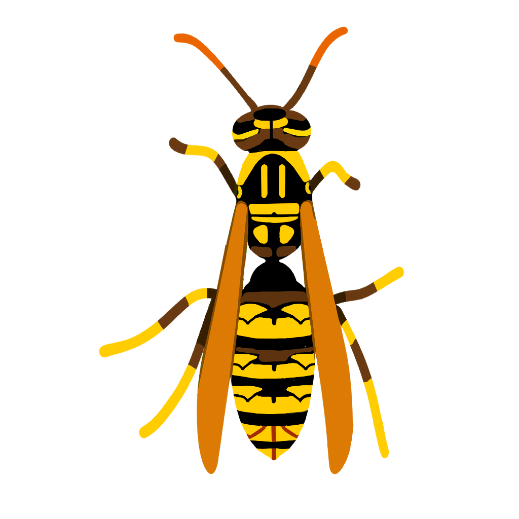 キアシナガバチ