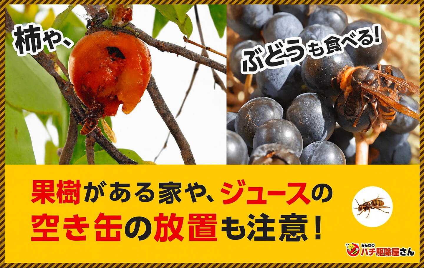 果樹がある家や、ジュースの空き缶の放置も注意