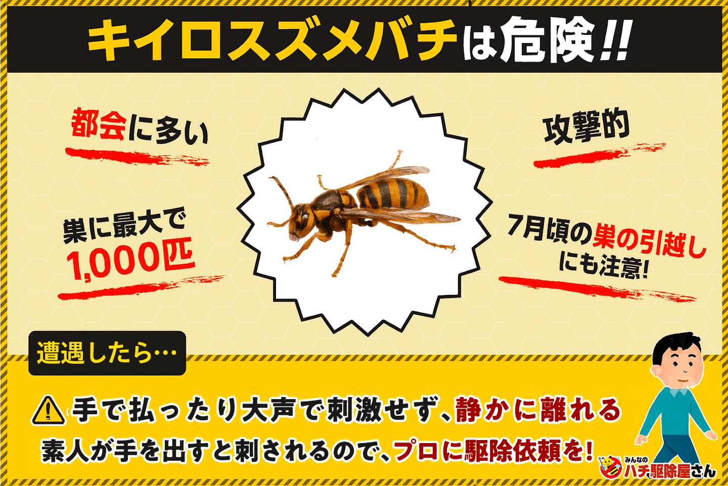 キイロスズメバチは危険。遭遇したら手で払ったり大声で刺激せず、静かに離れましょう。
