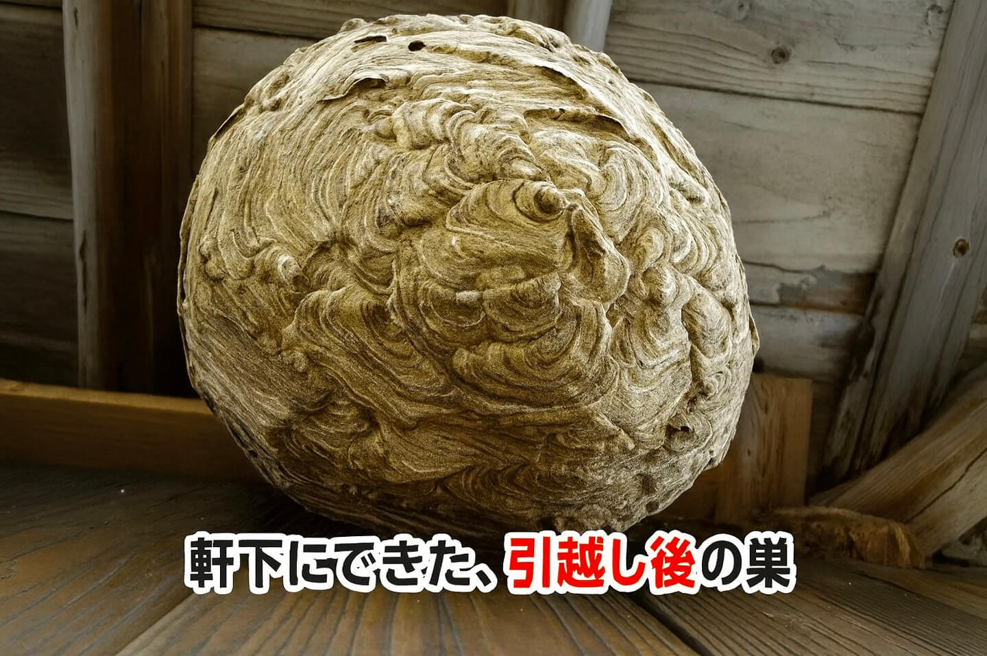 軒下にできた、引越し後の大きな巣