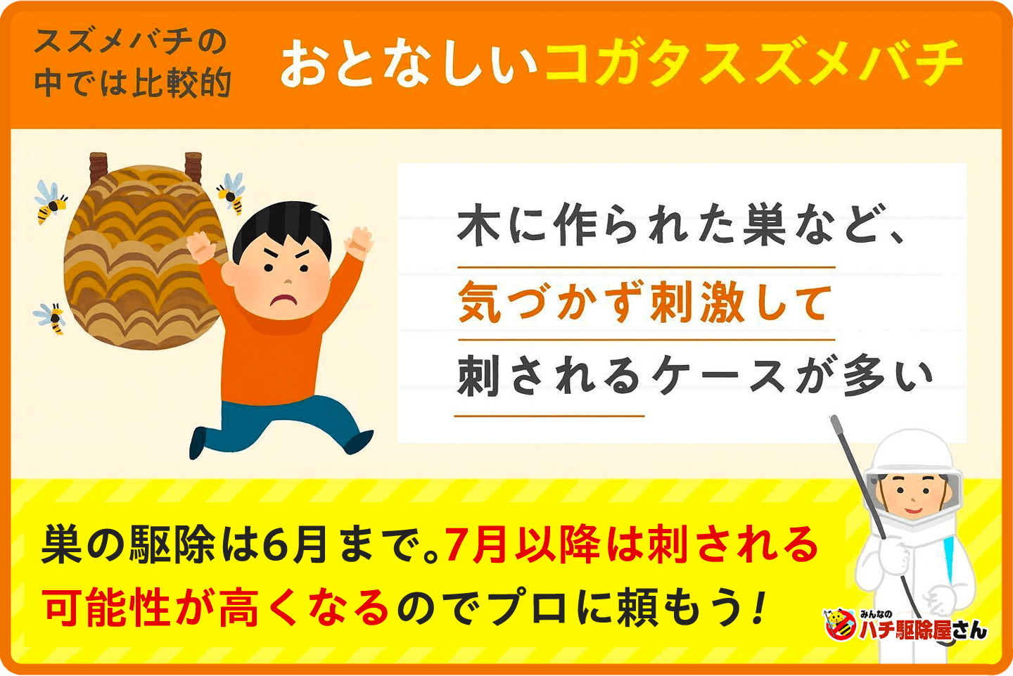 コガタスズメバチ