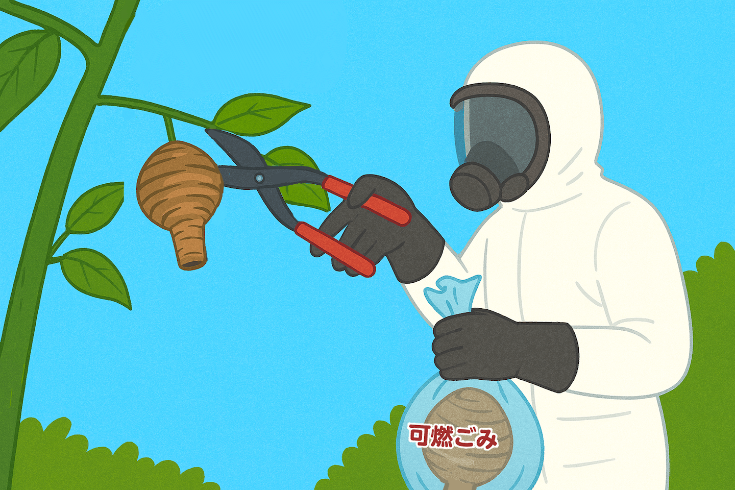 日中、枝切りバサミを使ってとっくり型の蜂の巣を切り落とし、可燃ごみの袋に入れる様子