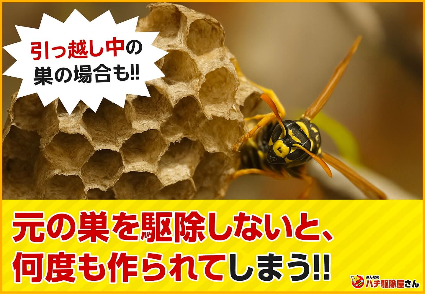 引っ越し中のハチの巣