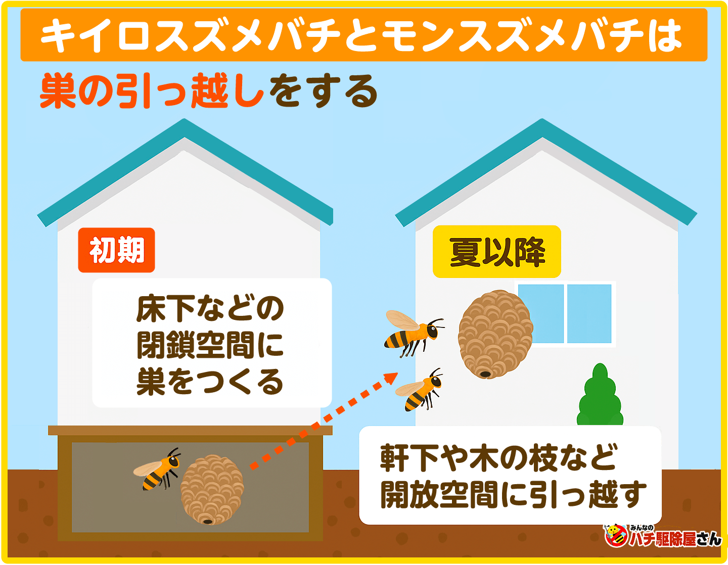 夏の時期のキイロスズメバチとモンスズメバチは巣の引越しがある