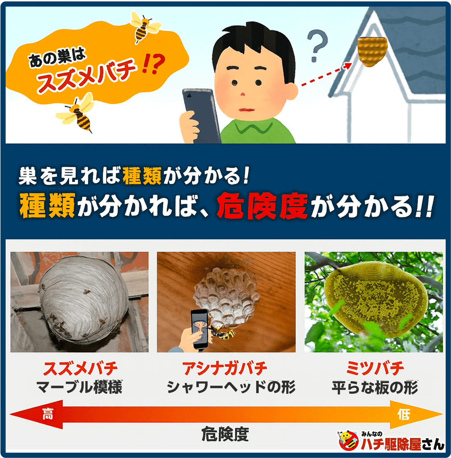 巣を見れば、種類がわかる。種類が分かれば、危険度が分かる。スズメバチが一番危険度が高いです。