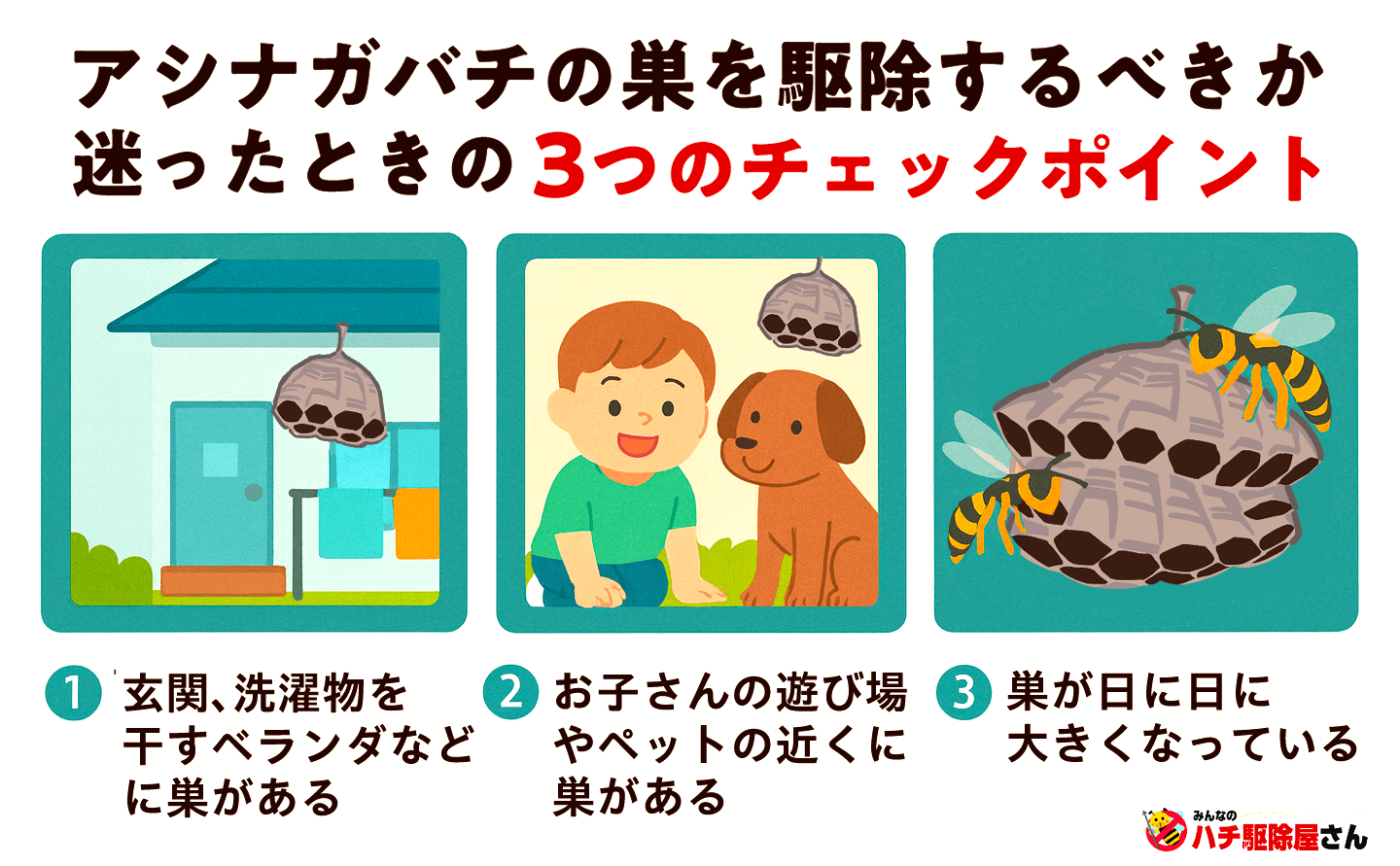 アシナガバチの巣駆除で迷ったときの3つのチェックポイント
