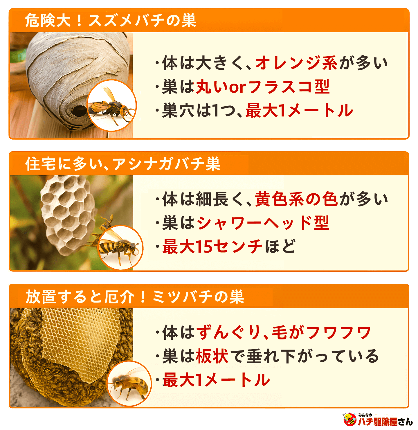 マーブル模様は本当にスズメバチの巣？巣の見分け方と対処法