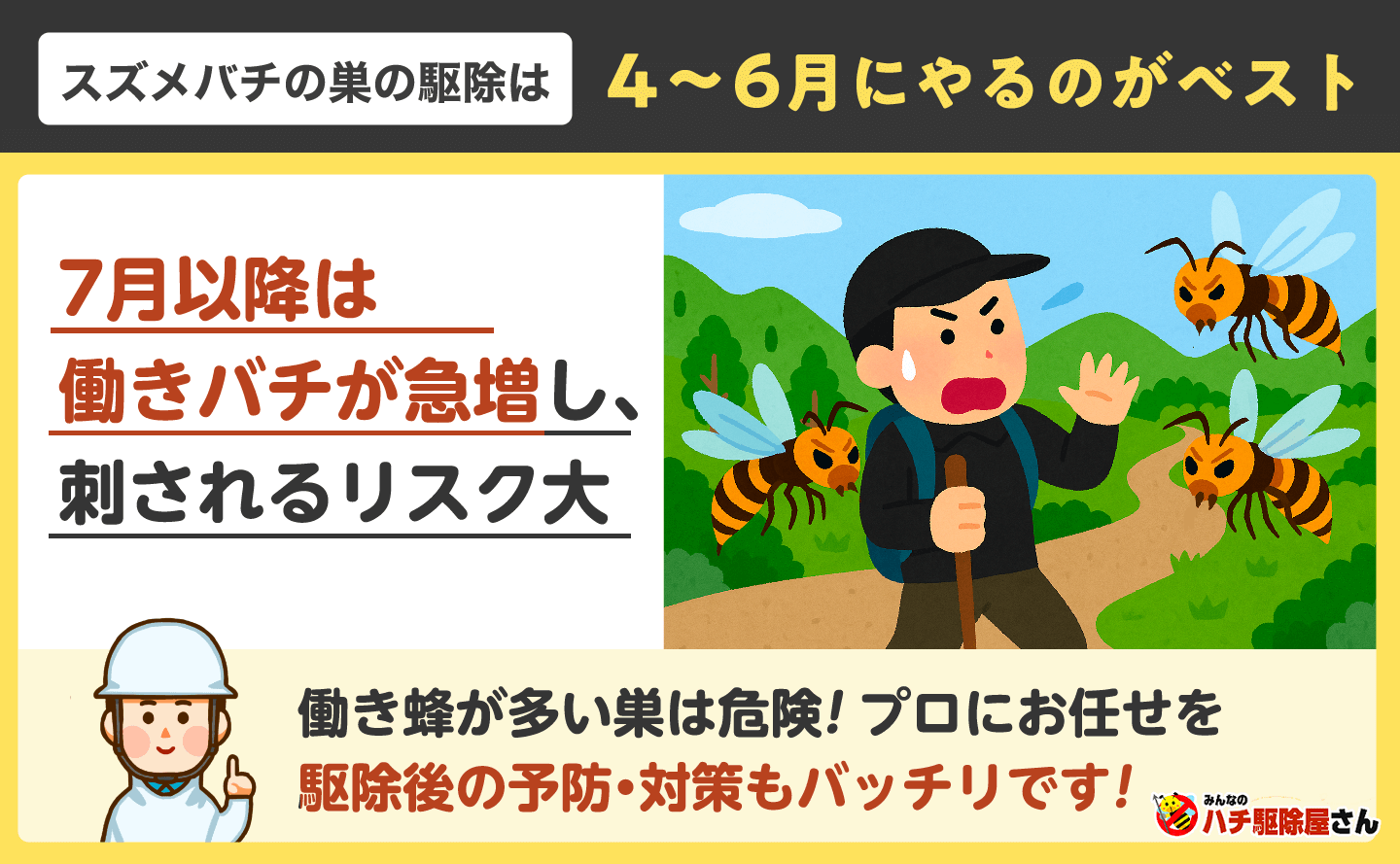７月以降は働きバチが急増し、刺されるリスク大