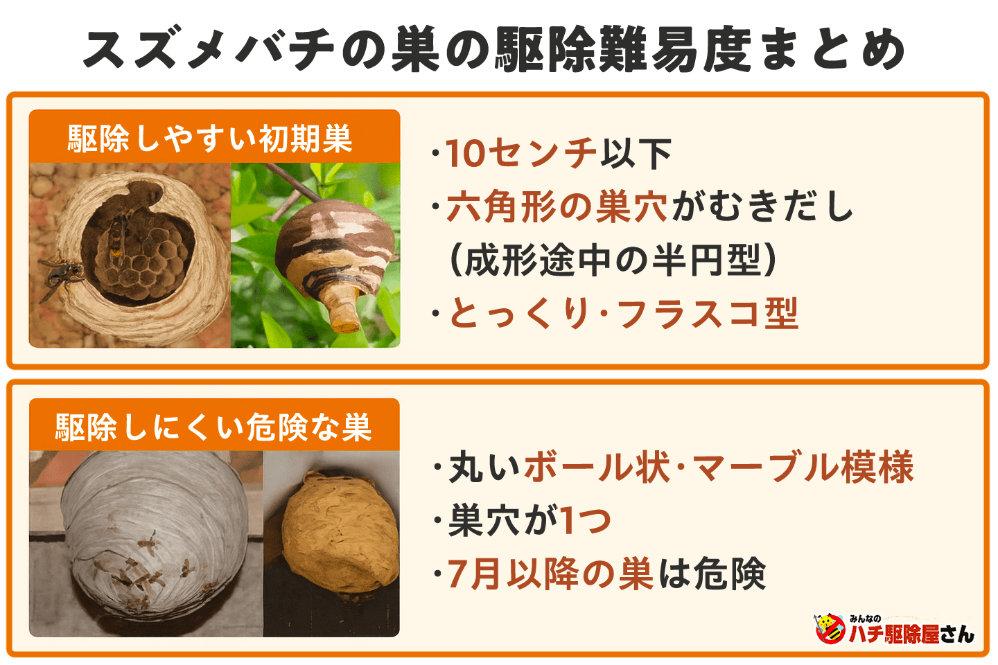 マーブル模様は本当にスズメバチの巣？巣の見分け方と対処法