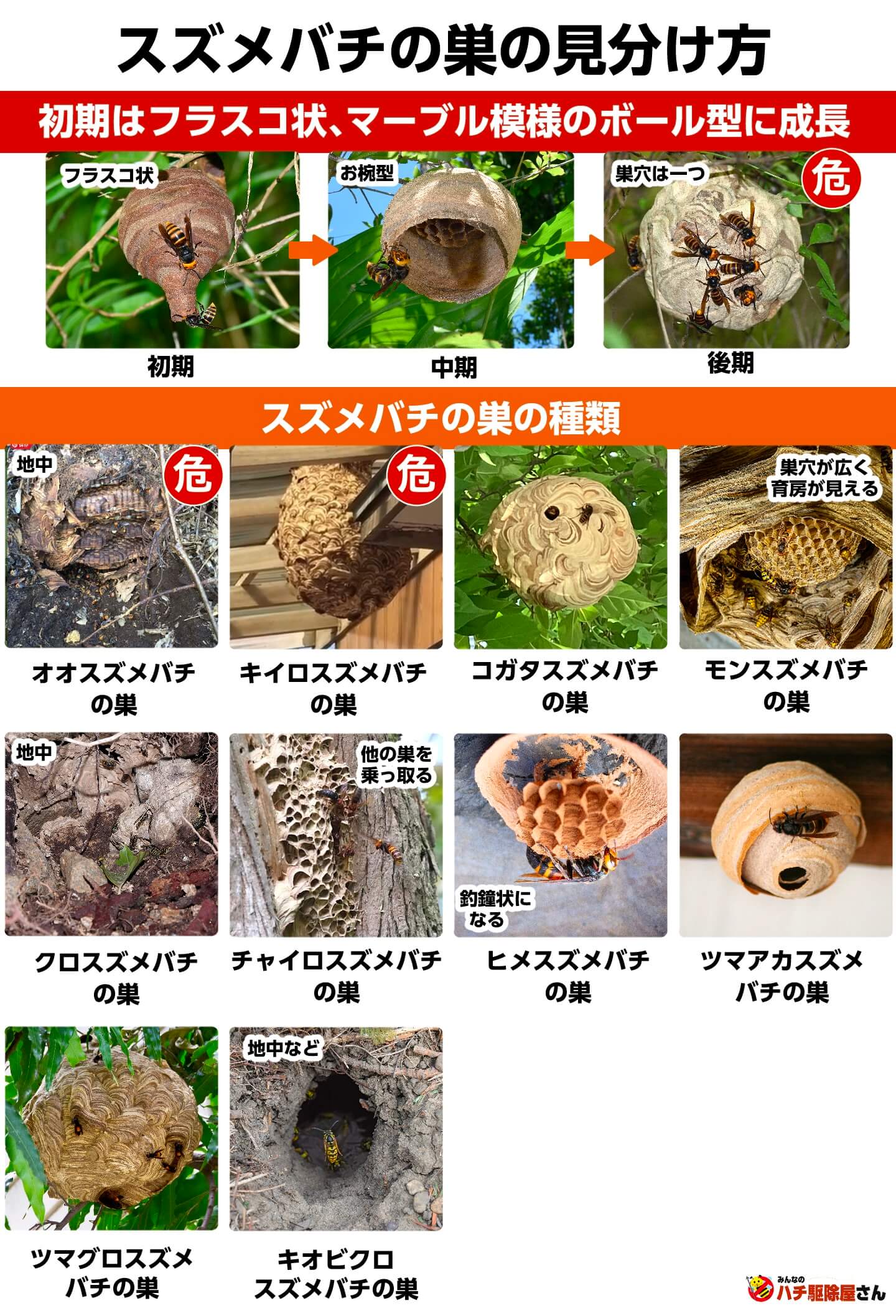 スズメバチの巣の見分け方