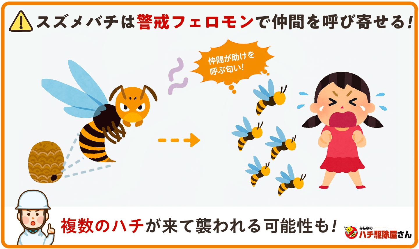 マーブル模様は本当にスズメバチの巣？巣の見分け方と対処法