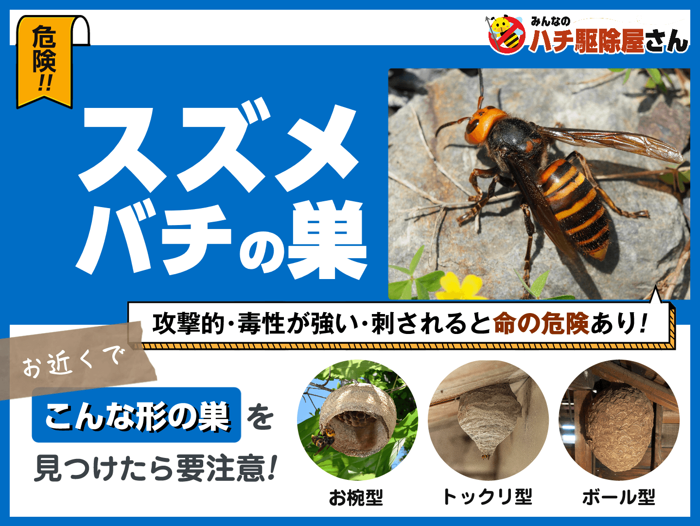 危険！スズメバチの巣