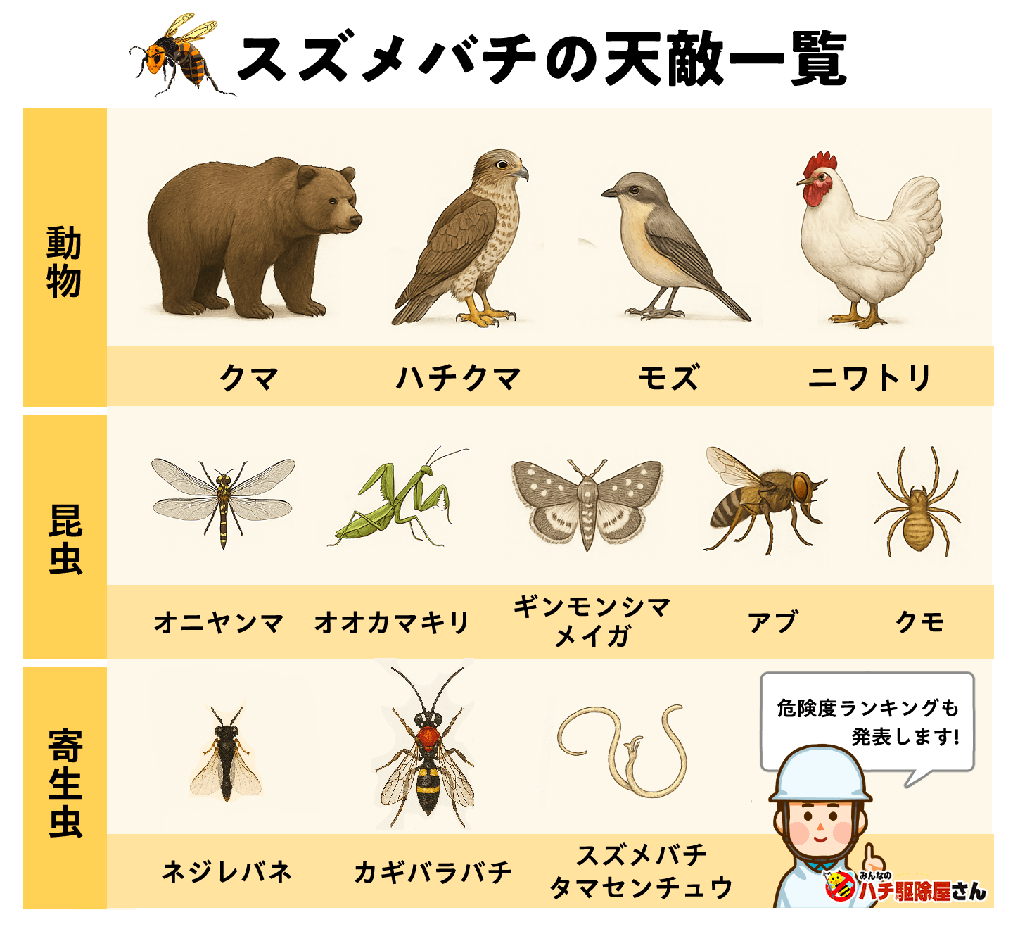 スズメバチの天敵一覧